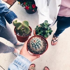 Meet your Posher, Haniya